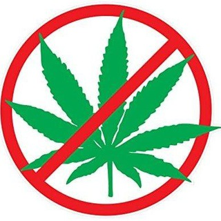 Telegram Group Picture