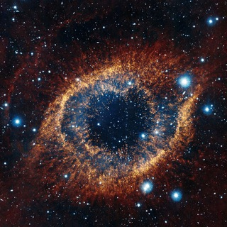 Telegram Group Picture