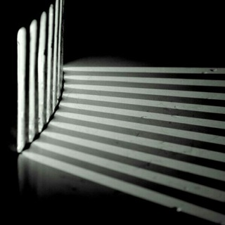 Telegram Group Picture