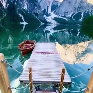 Telegram Group Picture