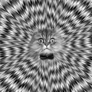 Telegram Group Picture