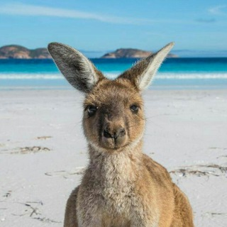 Telegram Group Picture