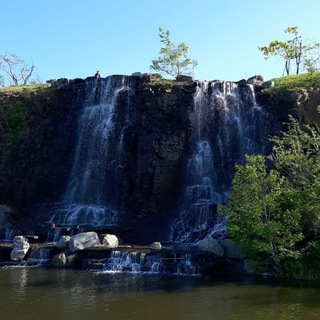 Telegram Group Picture