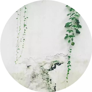 Telegram Group Picture