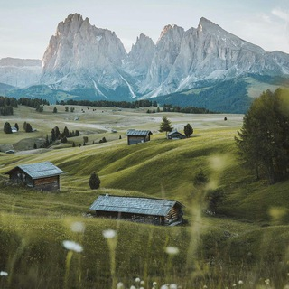 Telegram Group Picture