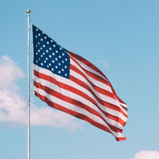 Telegram Group Picture