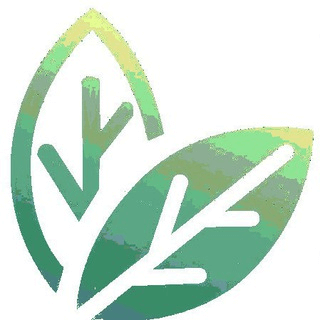 Telegram Group Picture