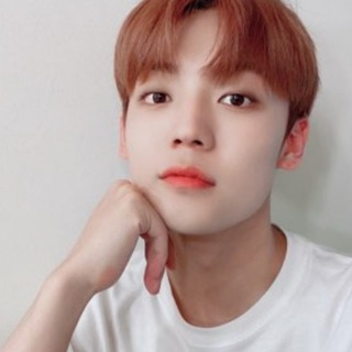 Telegram Group Picture