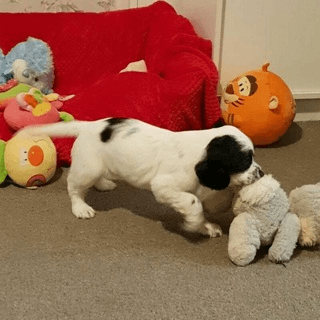 Telegram Group Picture