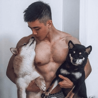 Telegram Group Picture