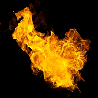 Telegram Group Picture