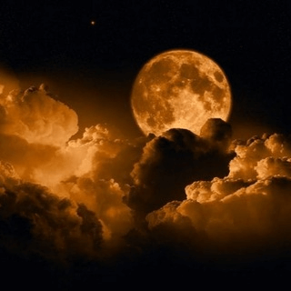 Telegram Group Picture