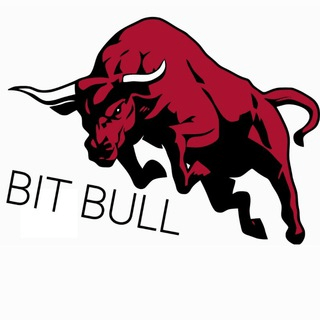 🐂BIT BULLs🐂