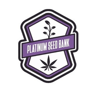 Telegram Group Picture