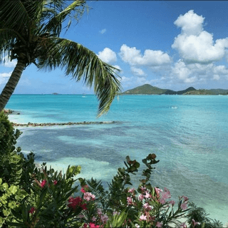 Telegram Group Picture