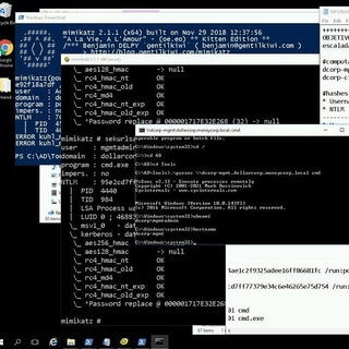 Telegram Group Picture