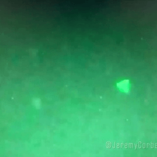 Telegram Group Picture