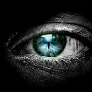 Telegram Group Picture