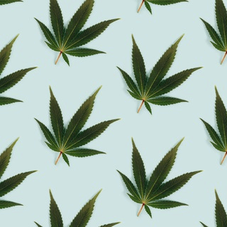 Telegram Group Picture