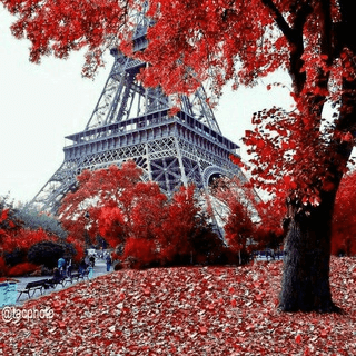 Telegram Group Picture