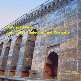 Telegram Group Picture