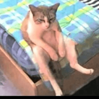 Telegram Group Picture