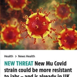 Telegram Group Picture