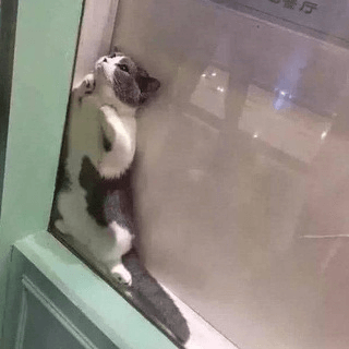 Telegram Group Picture