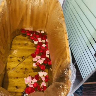 Telegram Group Picture