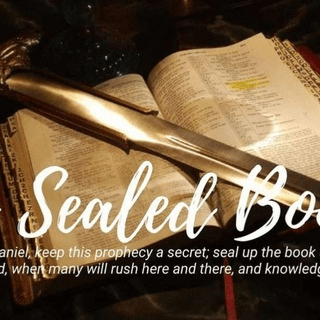 The Sealed Book Official ~Amy Sever