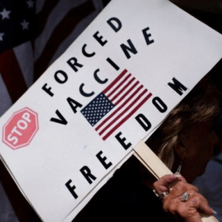 Telegram Group Picture