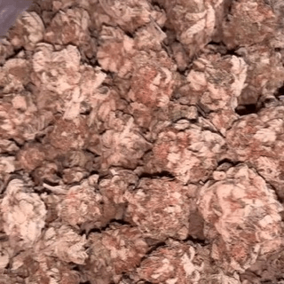 Telegram Group Picture