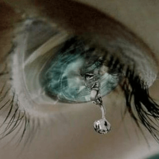 Telegram Group Picture