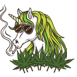 Telegram Group Picture