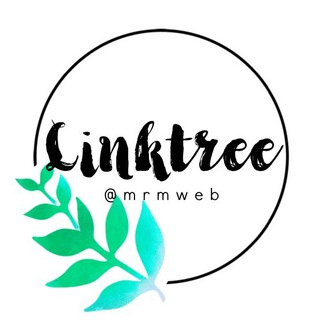 🌴 링크트리🌴