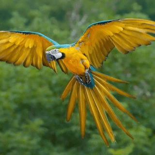 Telegram Group Picture