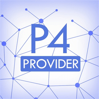 P4 Provider