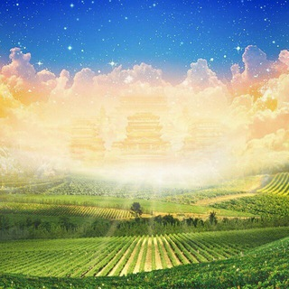 我们的家园※华人资讯互动交流中心