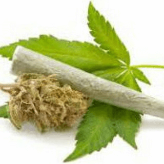 Telegram Group Picture