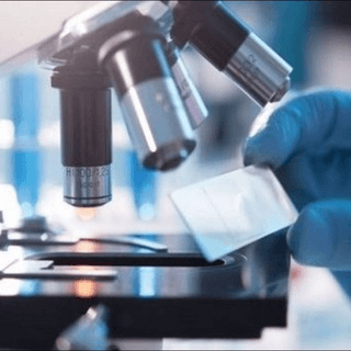 BSMI_Histology / Morphology