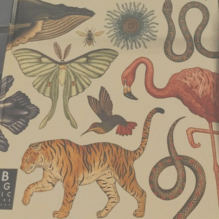 Telegram Group Picture