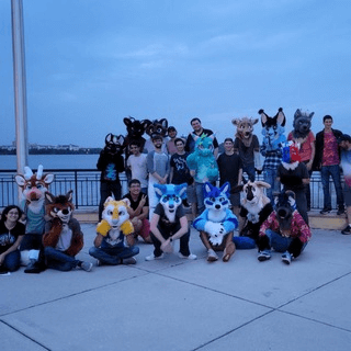 Orlando Area Furmeets