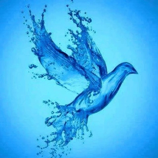 Telegram Group Picture