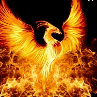 Telegram Group Picture