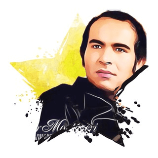 Amir montazeri
