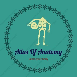 Atlas Of Anatomy