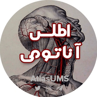 گروه آناتومی اطلس