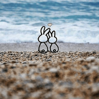 Telegram Group Picture