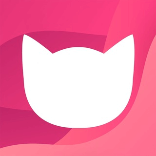 ASMR Cat 中文音聲