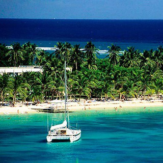 Telegram Group Picture